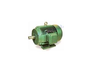 Y SERIES THREE-PHASE SQUIRREL-CAGE INDUCTION MOTORS