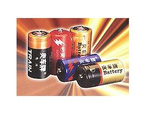 Battery & Charger