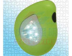 Sensor Light