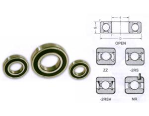 Rolling Bearing