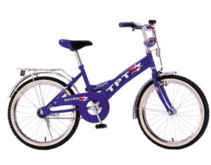 Bicycle T201521