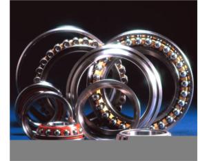 Plain Bearing