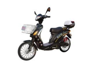 Electric Bicycles /V31
