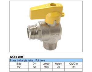 Angle Valve 