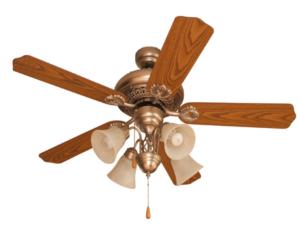 Electrical Fan & Exhaust Fan 