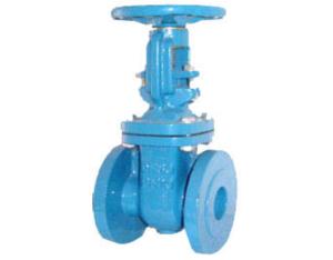 Check Valve