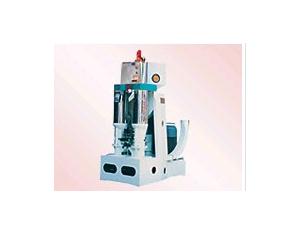 Two-way vertical Rice Polisher