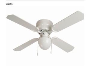 Electrical Fan & Exhaust Fan