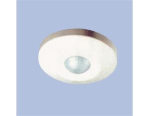 Ceiling PIR Sensor with neon available
