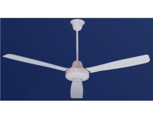 Electrical Fan & Exhaust Fan