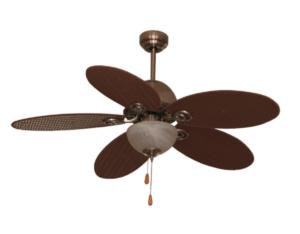 Electrical Fan & Exhaust Fan