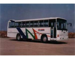 SFQ 6984 Commuter Bus