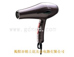 Hair Dryer 