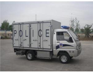 Electric Utility Vehicle /GLT3026-2TP