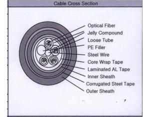 Loose Tube Fiber Optic Cable (SM 24C,Single Armor Double Jacket/GYTA53)