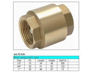 Check Valve