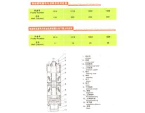 1215-1228 Series Water-Submersible 3-Phase Asynchronous Motor
