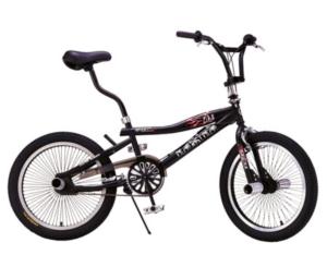 Bicycle T200173