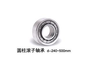 Rolling Bearing