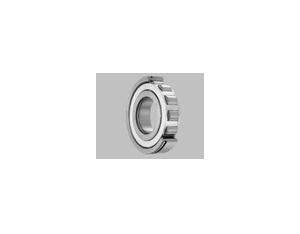 Plain Bearing