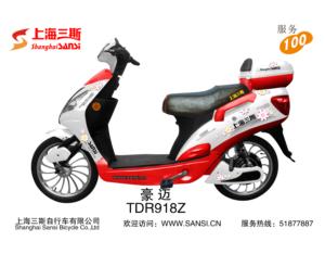 Electric Bike & Parts