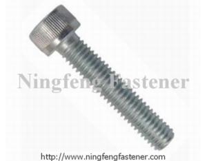 HEX SOCKET BOLT ( CUP SCREW )