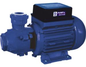 KF/O End-Suction Peripheral Pumps