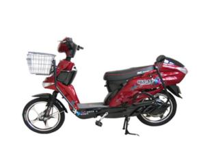 Electric Bicycles /V39