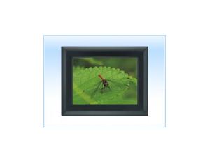 Digital Photo Frame