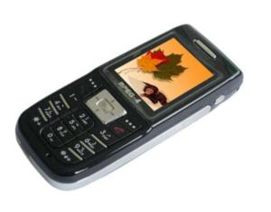 DK101 Mobile Phone