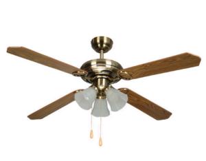 Electrical Fan & Exhaust Fan 