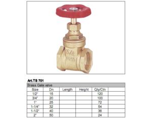 Gate Valve