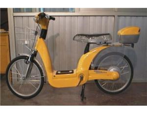 Electric Bike & Parts