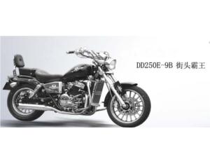 Motorcycle DD250E-9B