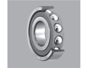 Rolling Bearing