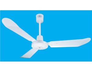 Electrical Fan & Exhaust Fan