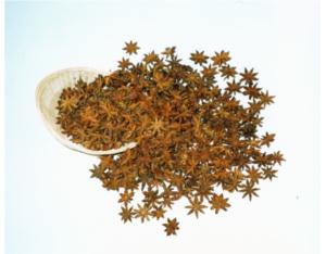 Star Aniseed