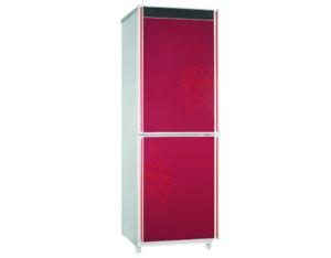 BCD-187JM Refrigerator