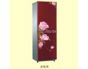 BCD-198K Refrigerator