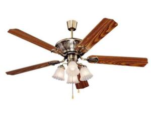 Electrical Fan & Exhaust Fan