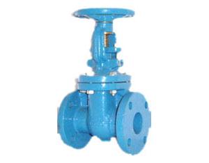 Check Valve