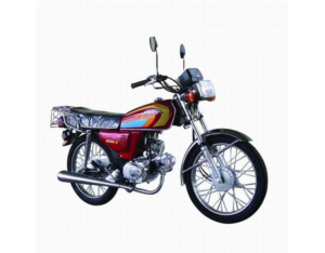 Motorcycle JD50Q-17