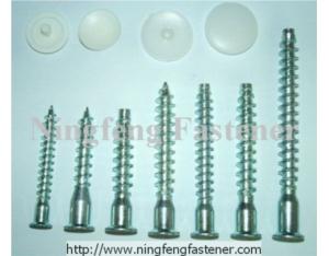 NF-CS04
CONFIRMAT SCREW