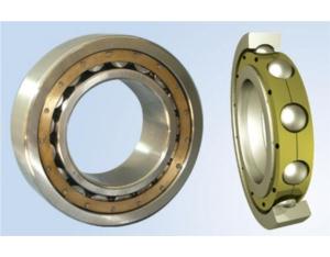 Rolling Bearing