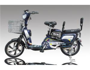 Electric Bicycle