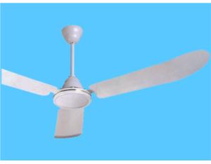 Electrical Fan & Exhaust Fan