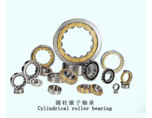 Rolling Bearing