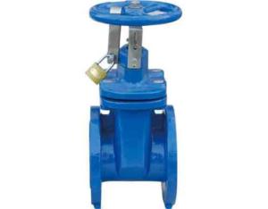 DN3352 F4 Non Rising Stem Resilient Seated Gate valve