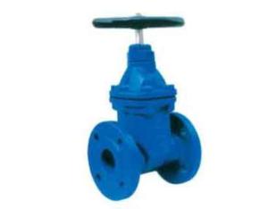 BS 5163 Non Rising Stem Resilient Seated Gate Valve