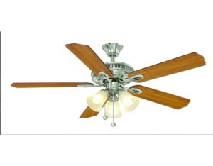 Ceiling fan